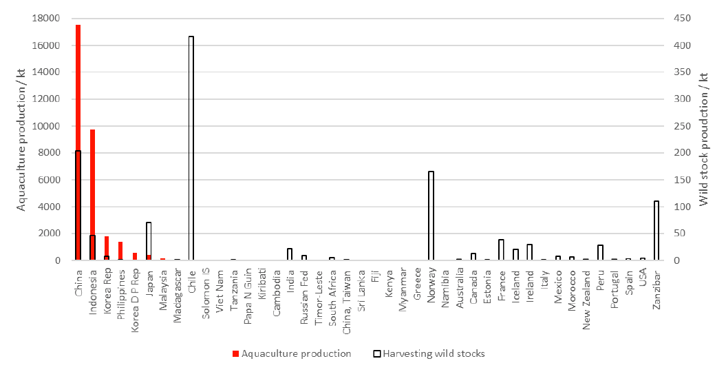 This bar chart shows the volume of seaweed harvested from the wild and cultivated, by country in 2017. The chart shows that the production of seaweed (from cultivation and wild harvest combined) is dominated by Asian countries, primarily China and Indonesia, but with Japan, the Philippines, South Korea, North Korea and Malaysia also being key seaweed producing countries. Outside of Asia, key seaweed-producing countries are Chile, Norway and Zanzibar (Tanzania).