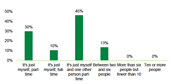 A bar chart showing the number of employees on the farms of respondents. The X axis presents various text options to describe the number of employees on the farm, and the Y axis presents the percentage of participants. Almost half of respondents reported that their farm employed just themselves and one other part-time person (46%), and 30% reported that their farm employed only themselves. There were no respondents who reported employing 6-10 people, or more than 10.