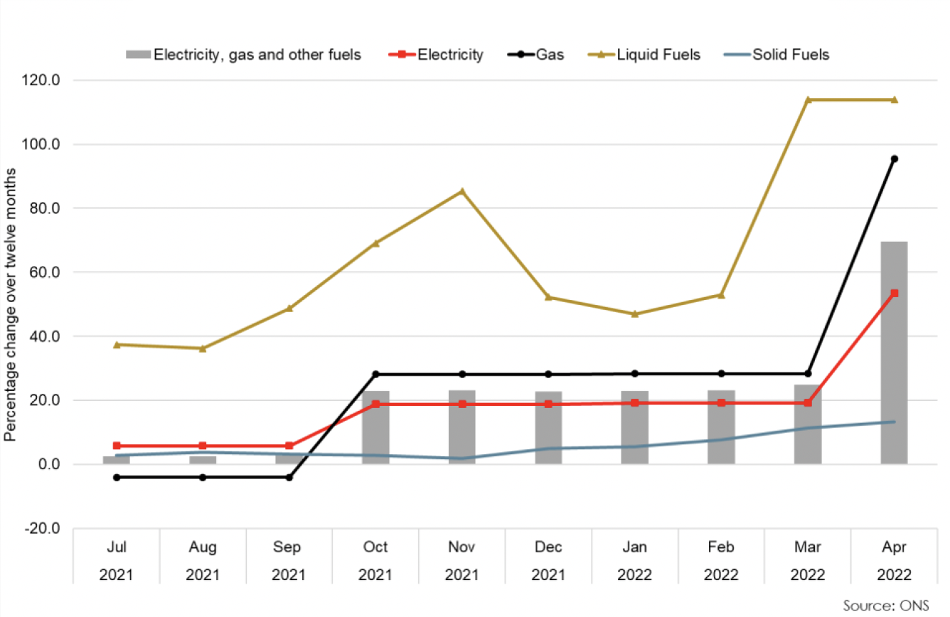 Bar and line chart showing percentage change over 12 months for electricity gas and other fuels. 