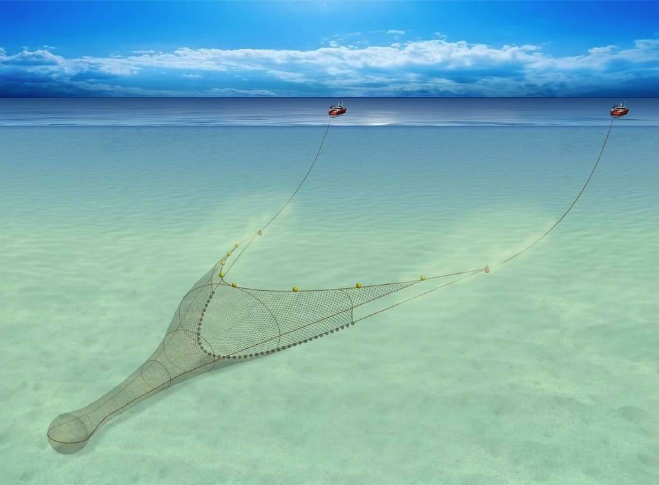 Demersal trawl, a pair of fishing vessels pulling a single net at the rear.