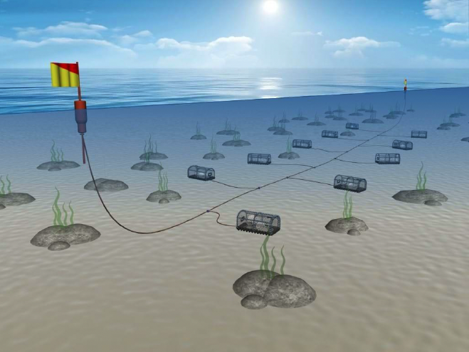 10 Creels sat on the seabed next to rocky outcrops. Creels identified at the surface by two floating buoys at each end of a central sunken rope holding creels alternating on the left and right hand side of the rope.