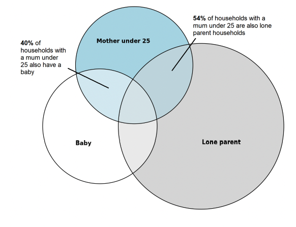 Figure 1.

Figure showing the proprotion of children in relative poverty in families with a mother under 25 who are also in other priority groups. 40% of households with a mum under 25 also have a baby. 54% of households wiht a mothr under 25 are also lone parent households. 