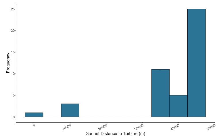 A histogram showing the distance of gannet to turbines in meters, with frequency on the y axis and distance to turbine on the x axis. The histogram peaks at around 45000 meters with a frequency of 25, with the frequency before this peak 0 except for at 0, 10000, 25000, 40000 meters where it increases towards 25 (except 40000)