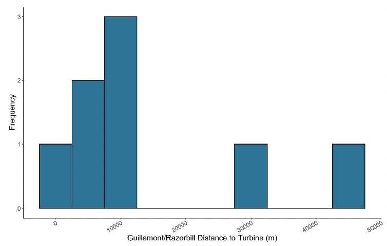 A histogram showing the distance of guillemot / razorbill to turbines in meters, with frequency on the y axis and distance to turbine on the x axis. The histogram peaks at around 10000 meters with a frequency of 3. There was no pattern to the remaining frequencies