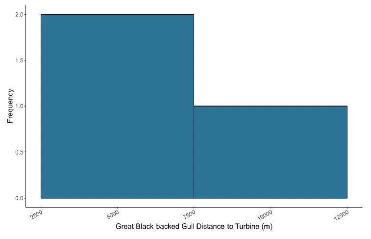 A histogram showing the distance of great black-backed gull to turbines in meters in July, with frequency on the y axis and distance to turbine on the x axis. The frequency for 2500 to 7500 meters is 2 whilst the frequency for 7500 to 12500 meters is 1