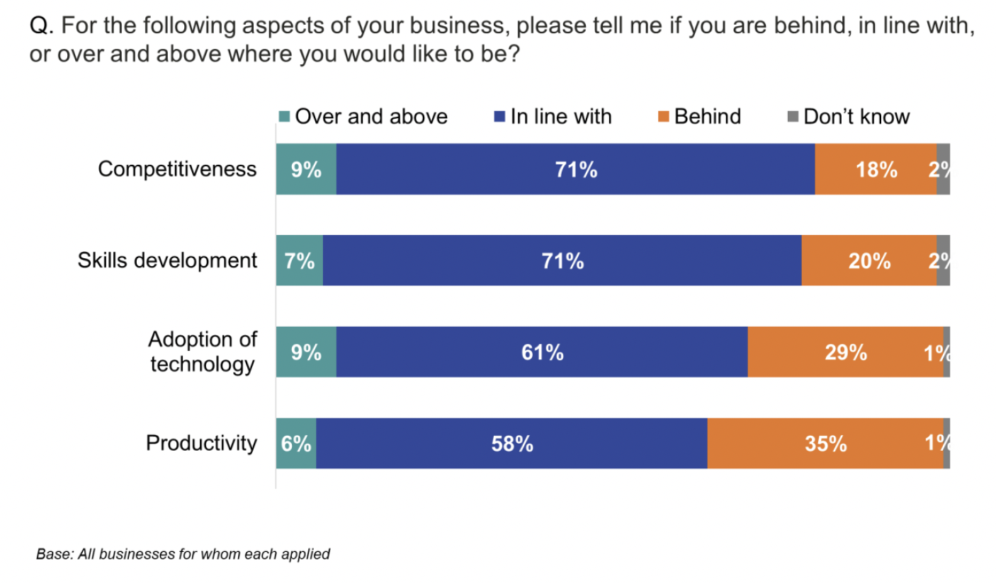 Bar chart showing businesses were most in line with, or exceeding, their expectations on competitiveness, but behind on productivity 