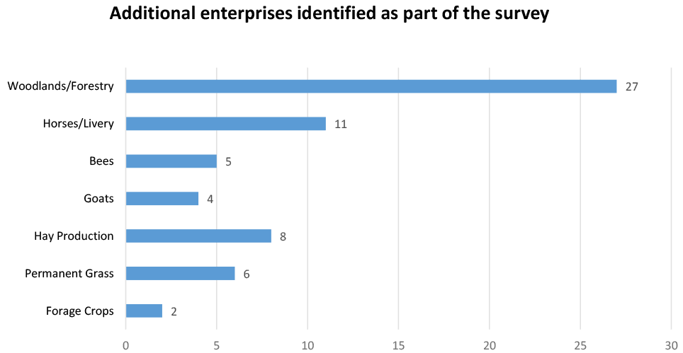Bar chart showing respondants by the additional answers provided using the Other option in the survey.