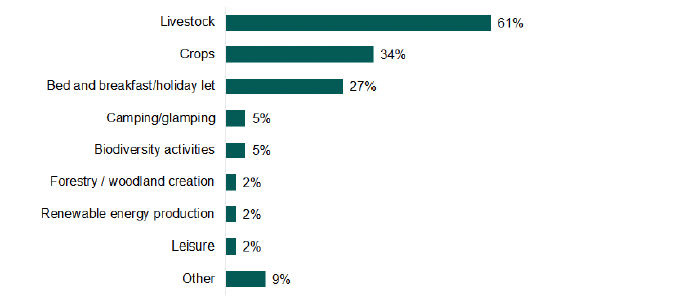 A bar chart showing the activities that produced additional income. An explanation of the chart is below.
