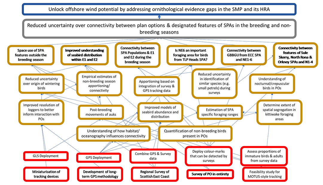 Actions and Outputs needed to meet the Outcome of reduced uncertainty over connectivity between plan options and designated features of SPAs in the breeding and non-breeding seasons