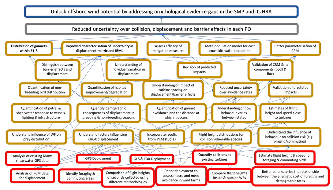 Actions and Outputs needed to meet the Outcome of reduced uncertainty over collision, displacement and barrier effects in each plan option. 
