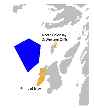 Location of plan option W1 and special protection areas for which the potential for significant effects was identified. 