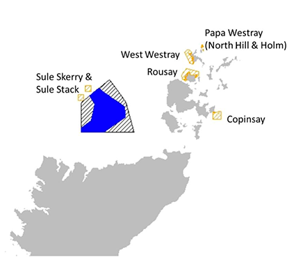 Location of plan option N1 and special protection areas for which the potential for significant effects was identified. 