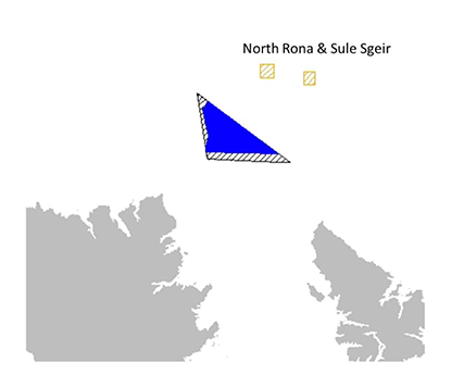 Location of plan option N2 and special protection areas for which the potential for significant effects was identified. 
