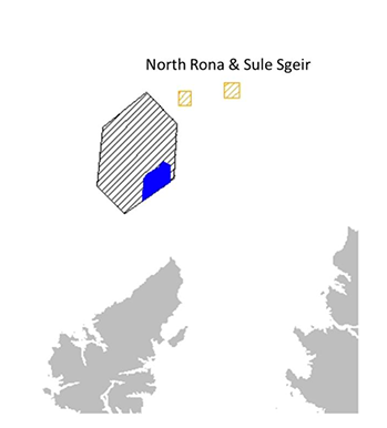 Location of plan option N3 and special protection areas for which the potential for significant effects was identified. 