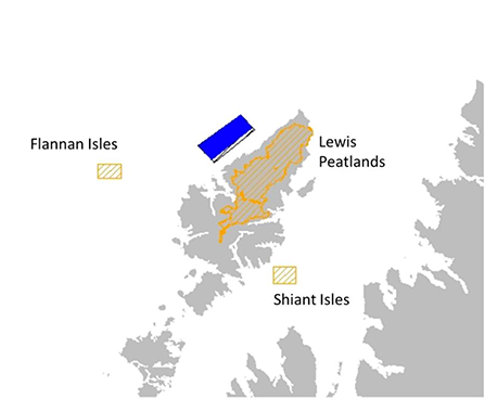 Location of plan option N4 and special protection areas for which the potential for significant effects was identified. 