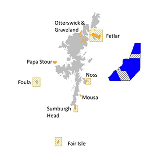 Location of plan option NE1 and special protection areas for which the potential for significant effects was identified. 