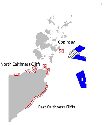 Location of plan options NE2 and NE3 and special protection areas for which the potential for significant effects was identified. 