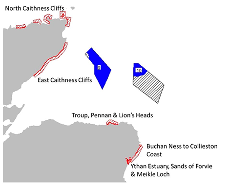 Location of plan options NE4 and NE6 and special protection areas for which the potential for significant effects was identified. 