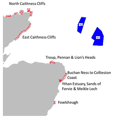 Location of plan options NE7 and NE8 and special protection areas for which the potential for significant effects was identified. 