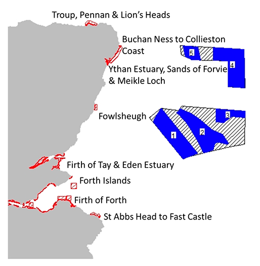 Location of plan options E1 and E2 and special protection areas for which the potential for significant effects was identified. 