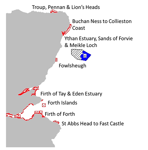 Location of plan option E3 and special protection areas for which the potential for significant effects was identified. 