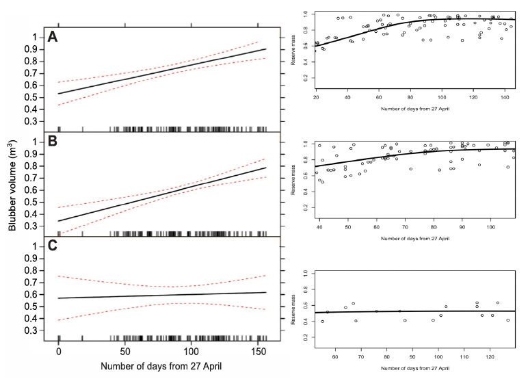 Six line graphs with three in the left panel showing changes in blubber volume of pregnant and mature female minke whales over the course of whaling season (citied model output). Three right panel show the equivalent outputs from the <abbr title=