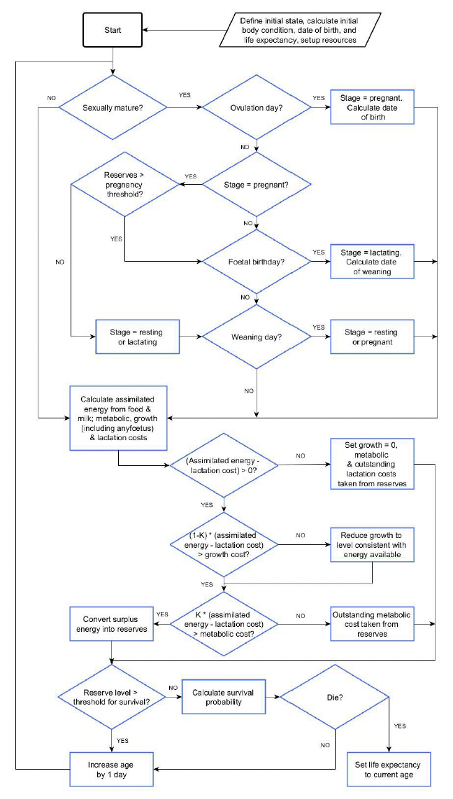 Flow diagram describing the details of the model as described in Section 4.3.