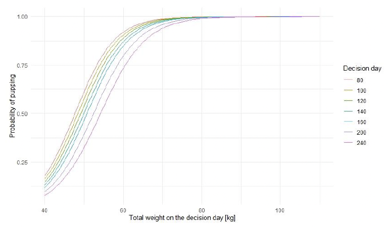 Line graph showing the Predicted effect of total body weight at different times during pregnancy on the probability of pupping. As shown in the text description above.