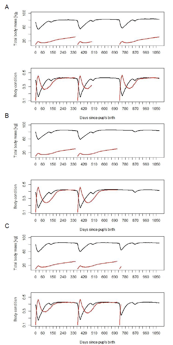 A line graph showing examples of annual changes total body mass and body condition of female and her offspring. As described in the text above.
