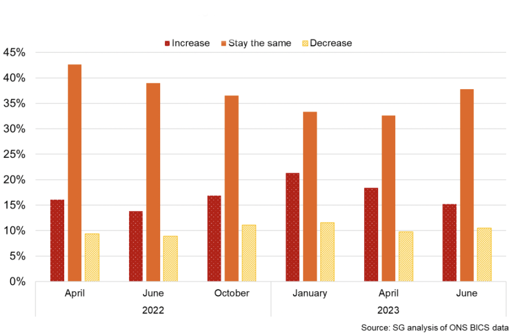 Bar chart showing a decreasing share of businesses in 2023 expect to increase capex while an increasing share expect it to stay the same.