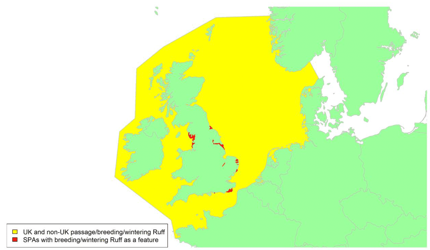 Map of North West Europe showing migratory routes and SPAs within the UK for Ruff as described in the text below.