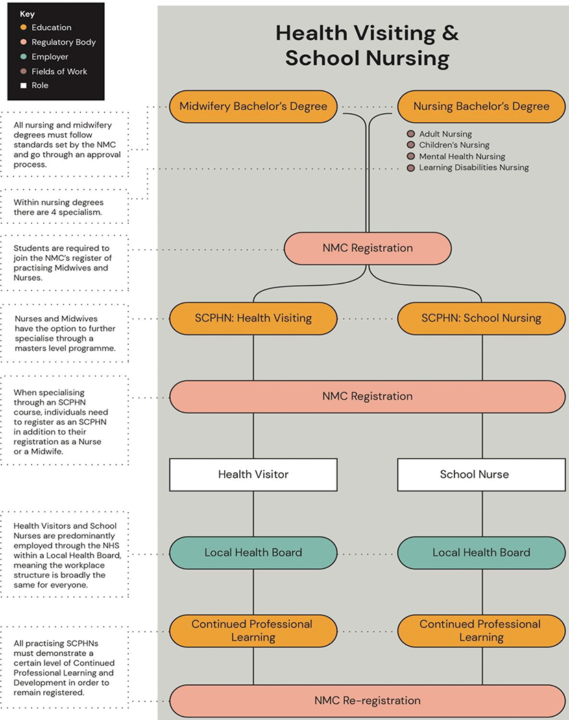 An image setting out the education pathways, regulatory bodies, employers, fields of work and roles that are relevant for health visiting and school nursing. For nursing this includes adult nursing, children’s nursing, mental health nursing and learning disabilities nursing.