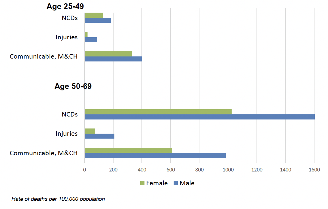 Graph showing cause of death by rate in Zambia.