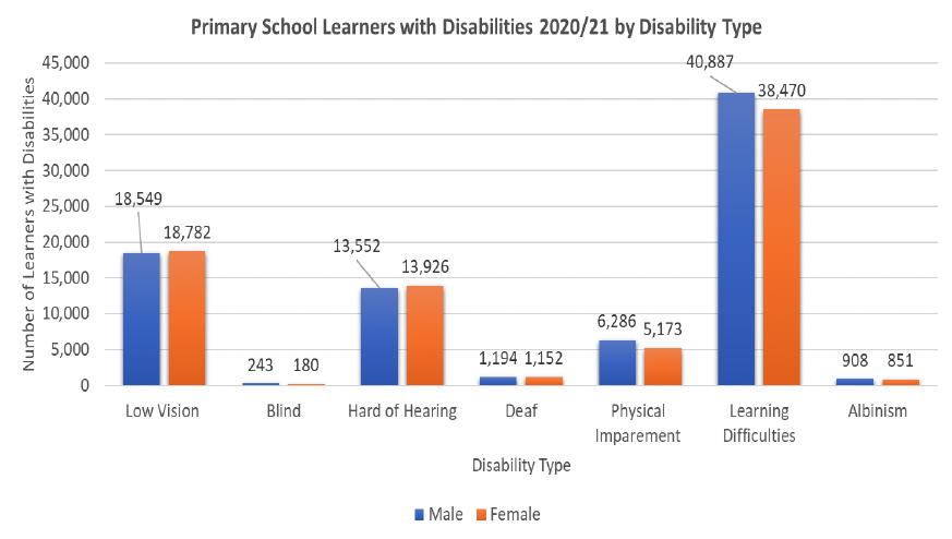 A graph showing the number of primary school learners with disabilities in Malawi in 2020/21, by disability. The most common disability, for both males and females, was learning difficulties by a considerable margin. Low vision was the second most common disability for both male and female learners. Across the various disabilities, the differences in numbers between males and females were generally small.