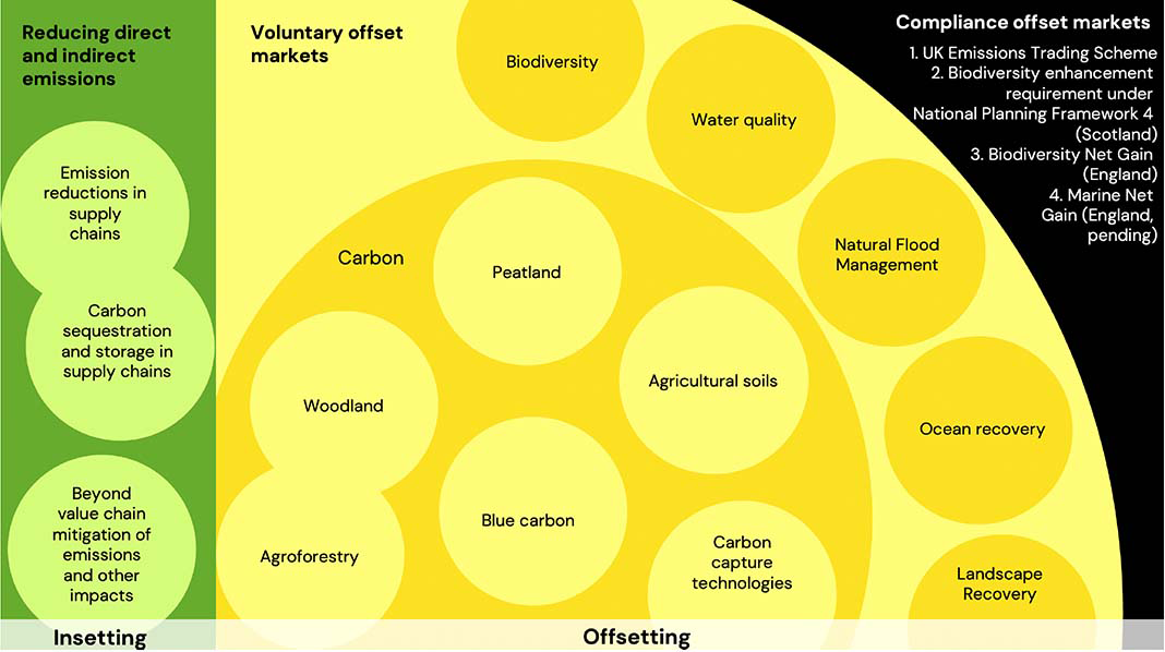 Graphic illustrating the different types of ecosystem markets operating in or close to the market in the UK. 