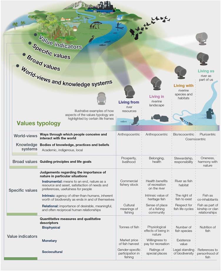Illustrative graphic showing a typology of values and how they are highlighted by certain life frames
