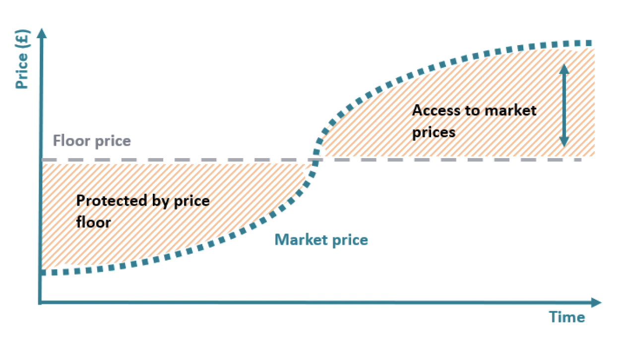 Diagram illustrating the effects of a price floor guarantee