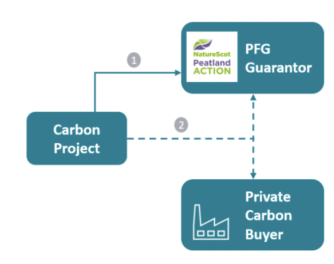 Flow chart showing the proposed structure of the Price Floor Guarantee