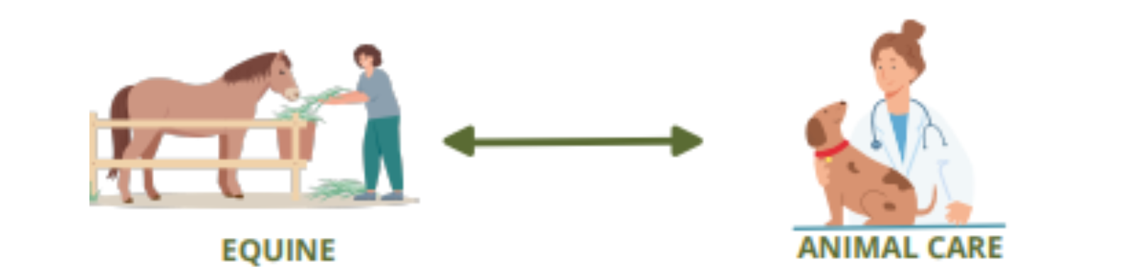 A graphic showing a two-way arrow between an equine worker and an animal care worker.