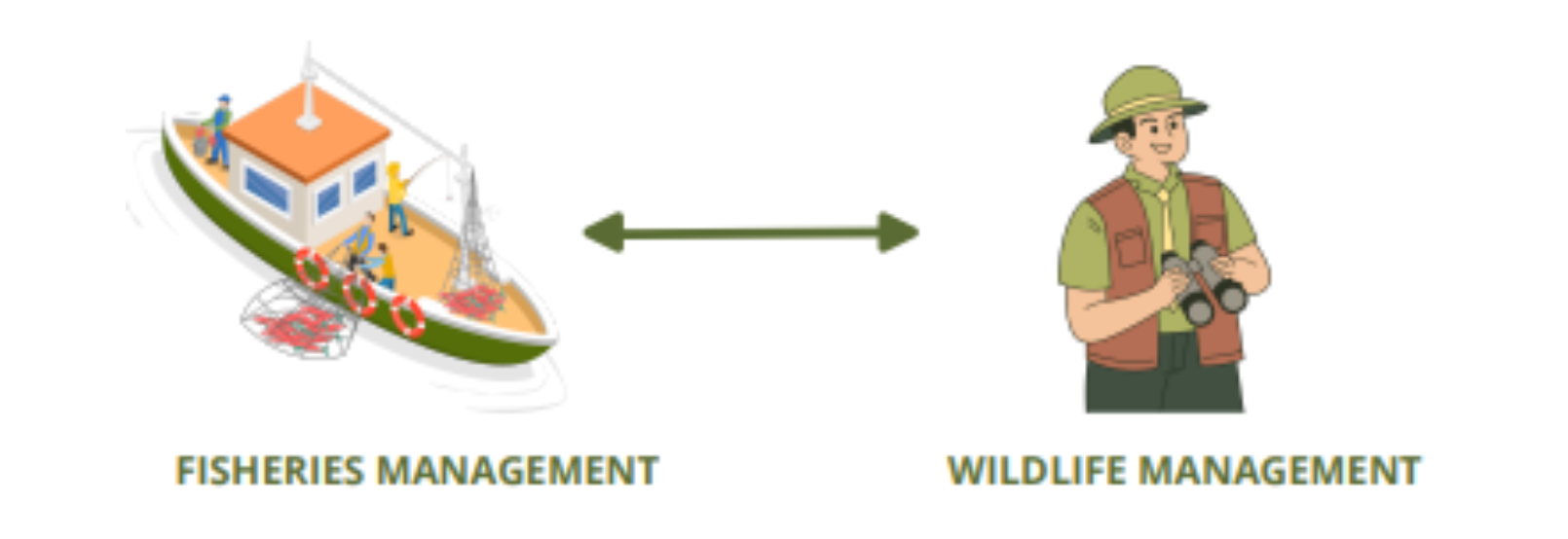 A graphic showing a two-way arrow between a wildlife management worker and a fisheries management worker.