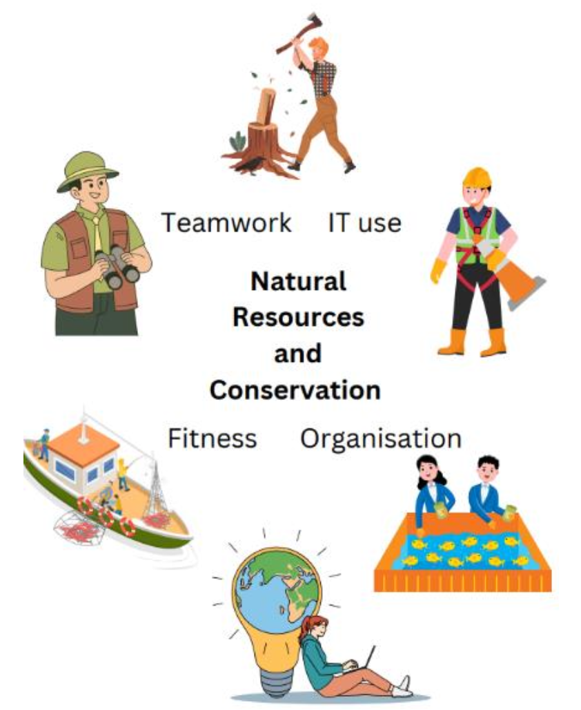 An infographic showing that teamwork, IT use, fitness, and organisation are important skills in the Natural Resources and Conservation cluster.