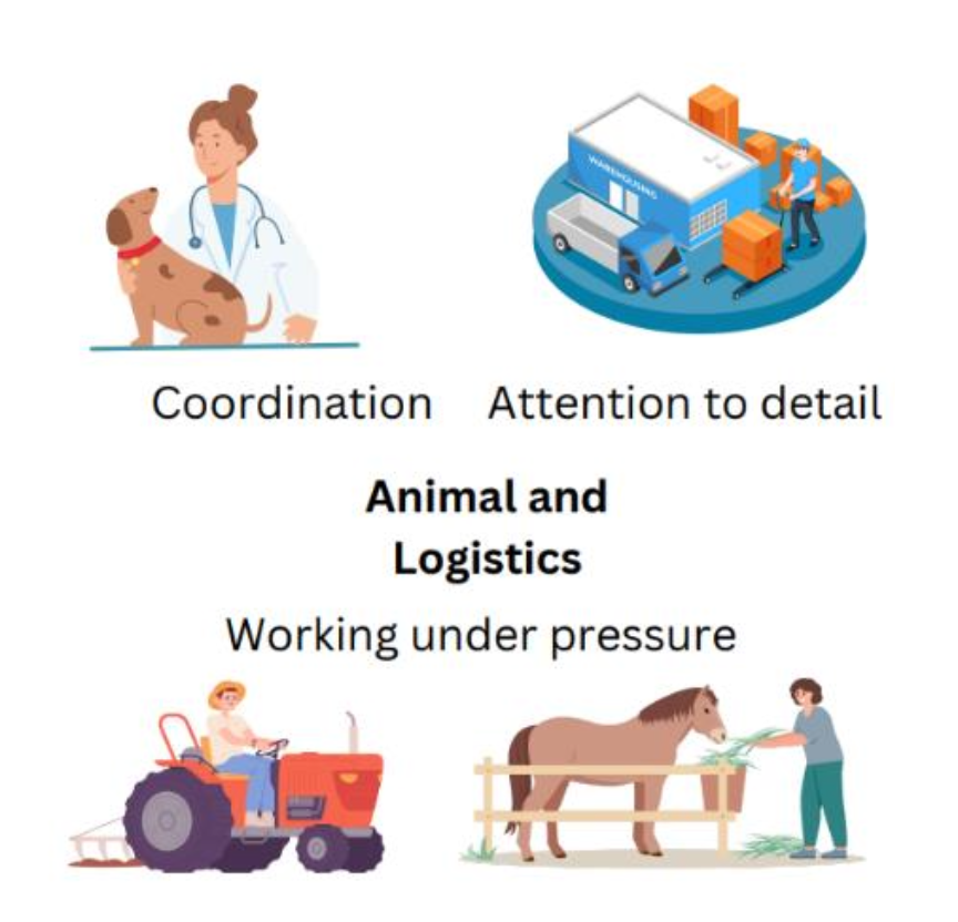 An infographic showing that coordination, attention to detail, and working under pressure are important skills in the Animal and Logistics cluster.