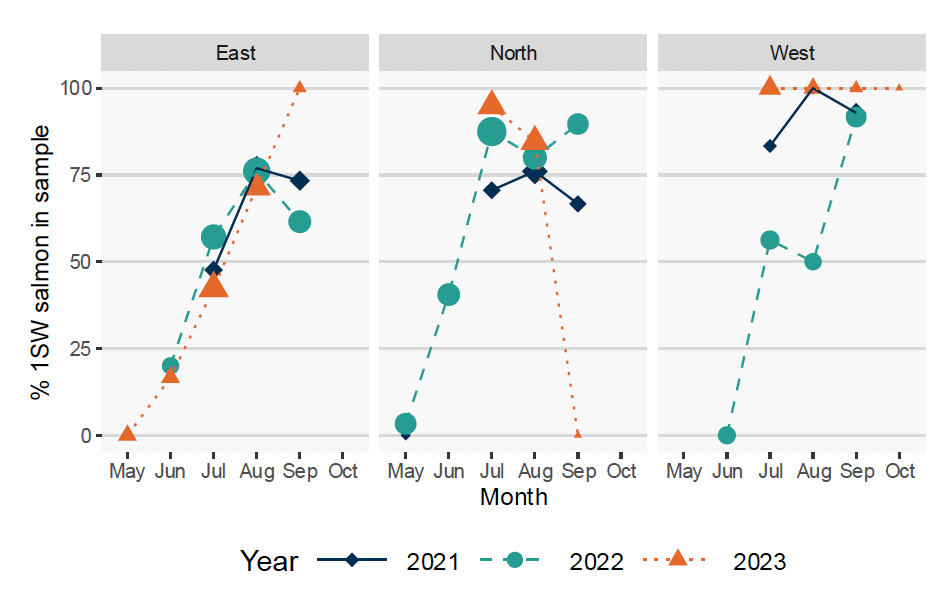 Graphs illustrating the increase in the percentage of 1SW fish in the samples from May to reach a plateau in July/August.