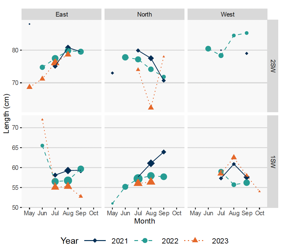 Graph showing lengths of 1SW and 2SW salmon by month and area, mean length for 1SW was generally between 55-60cm; for 2SW this was 70-80cm.