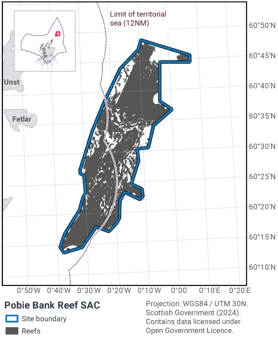 Map of Pobie Bank Reef SAC, a long section of reef intersecting with the limit of the territorial sea east of Shetland. It is located between 60°50N 0°40W and 60°12N 0°10E. The boundaries of the SAC closely follow the edges of the reef area, forming a narrow elongated and rough edged shape running southwest to northeast.