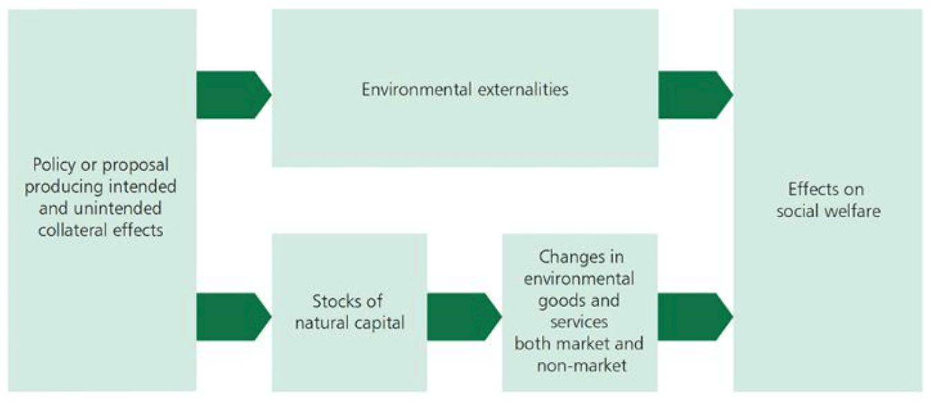 A diagram highlighting the natural capital framework from the HMT Green Book. Flowchart showing how a policy or proposal leads to environmental externalities, affects natural capital stocks, alters environmental goods and services, and ultimately impacts social welfare. This is connected by arrows.