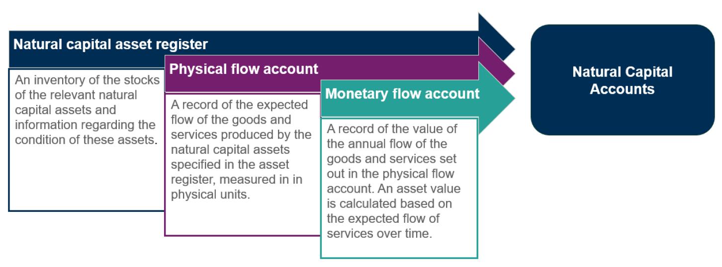 Components of a Natural Capital Account
