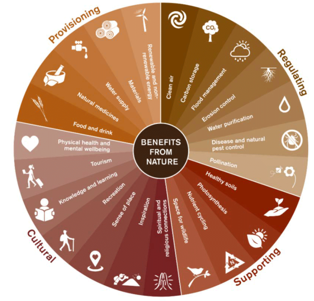 A circular diagram divided into four categories to summarise terrestrial ecosystem services. These are provisioning, regulating, supporting and cultural. Each category lists its ecosystem services.