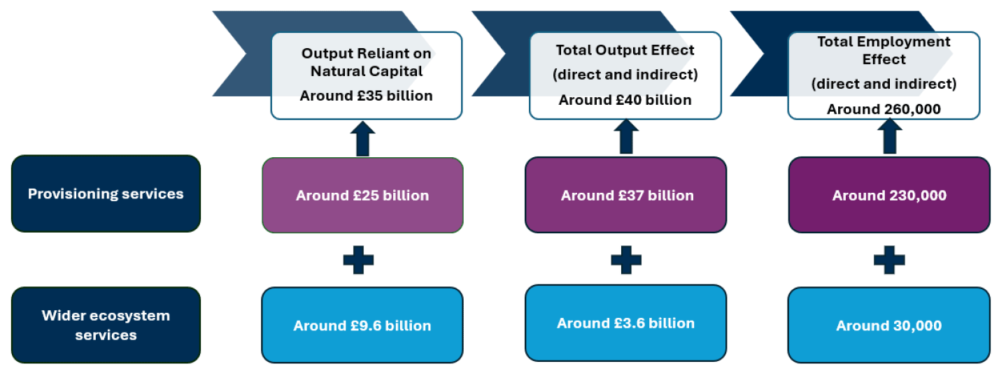 Flowchart with three horizontally arranged sections, each showing economic impacts of natural capital by combining provisioning services and wider ecosystem services. 