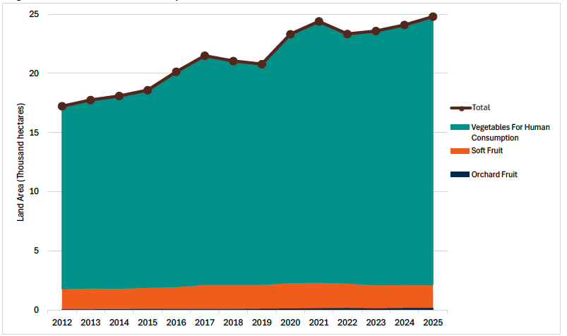 Area chart showing the number of hectares used to produce vegetables for human consumption, soft fruit and orchard fruit from 2012 to 2025.